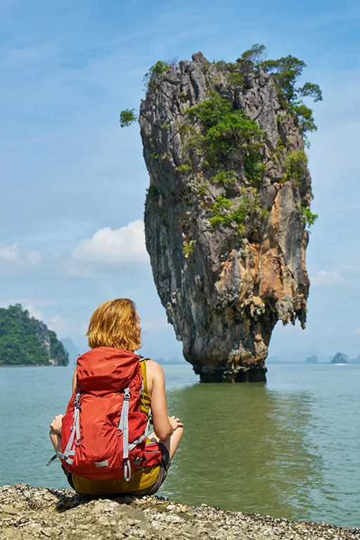 Traveller